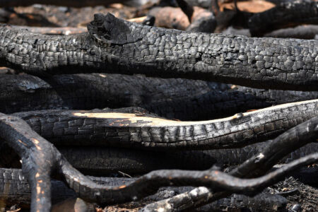 Soil Amendment Ingredients Image